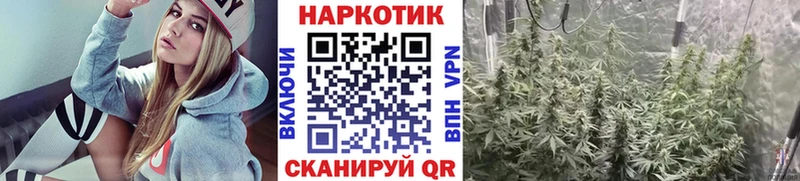 Купить наркотики сайты Могоча Alpha-PVP  Меф мяу мяу  МАРИХУАНА  КОКАИН 