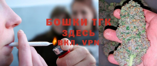 спиды Горняк