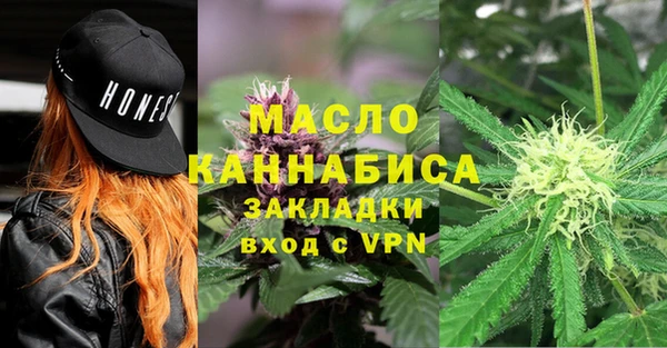 спиды Горняк
