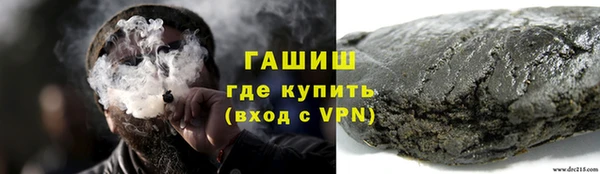 спиды Горняк