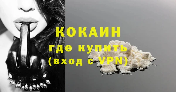 спиды Горняк