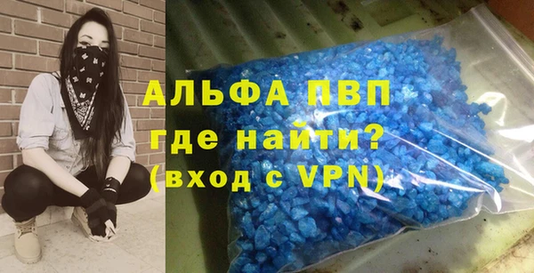 спиды Горняк