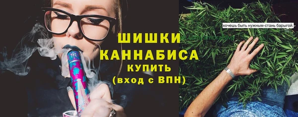 спиды Горняк