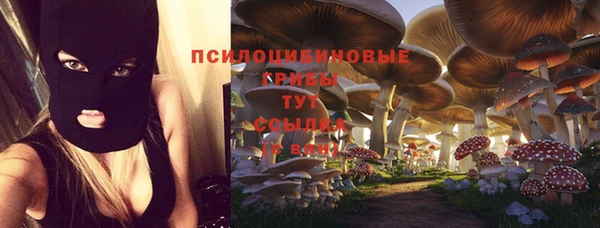 спиды Горняк