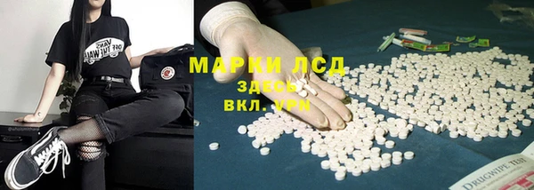 спиды Горняк