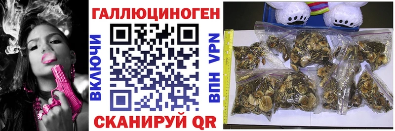 Псилоцибиновые грибы прущие грибы  купить наркотик  Могоча 